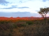 Windhoek 1 101